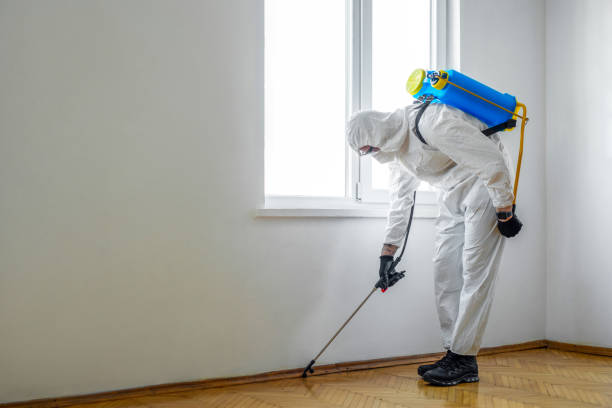 Best Wasp Removal Services  in Spring Valley, NY