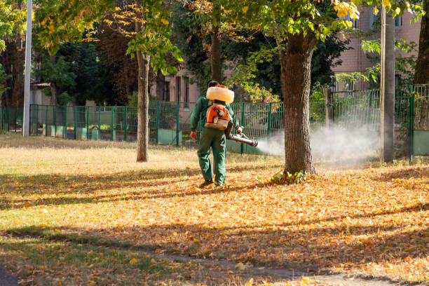 Best Commercial Pest Control Services  in Spring Valley, NY