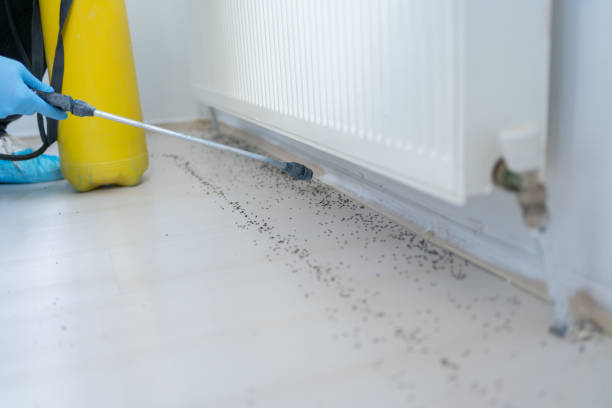 Best Residential Pest Control  in Spring Valley, NY